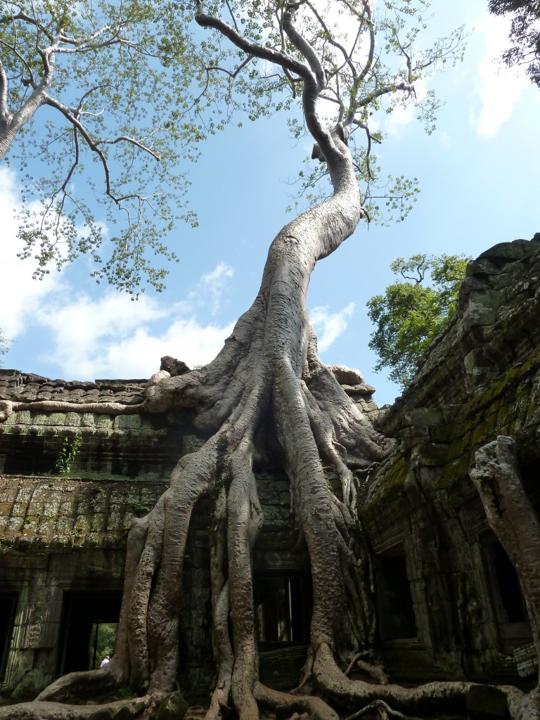 Angkor